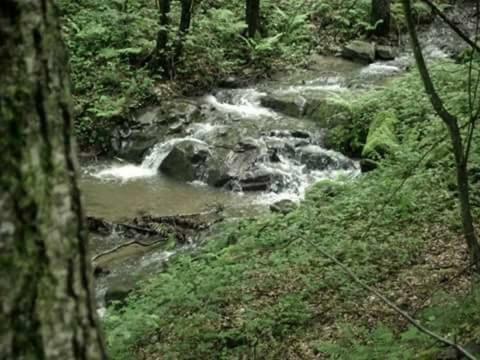 Vila Kuca Za Odmor"Miran San" Podgorić Exteriér fotografie